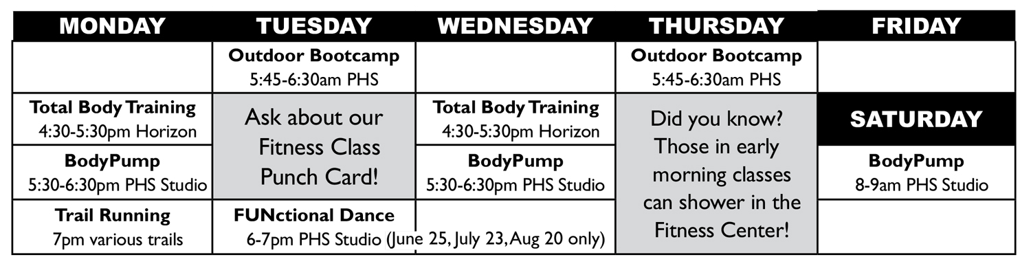 Chart showing fitness classes by day of week