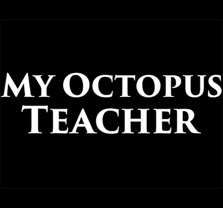 My Octopus Teacher title screen