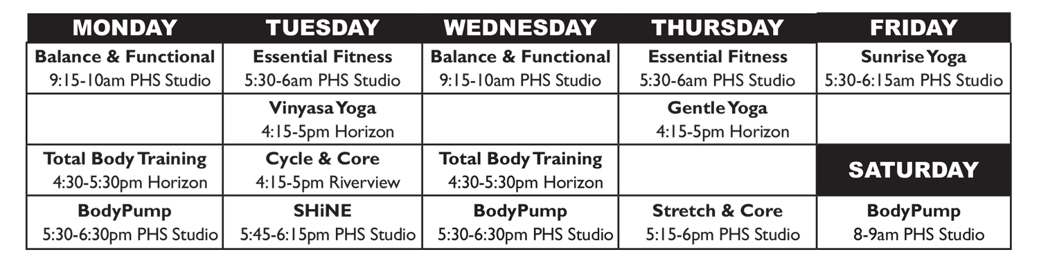 Chart showing fitness classes by day of week