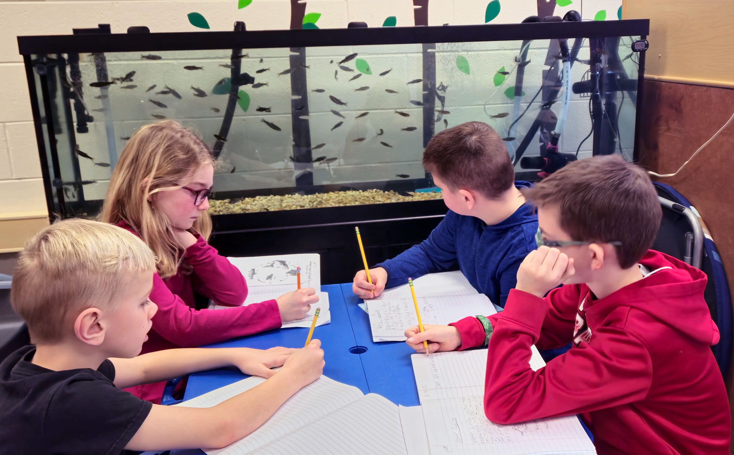 students looking at large aquarium