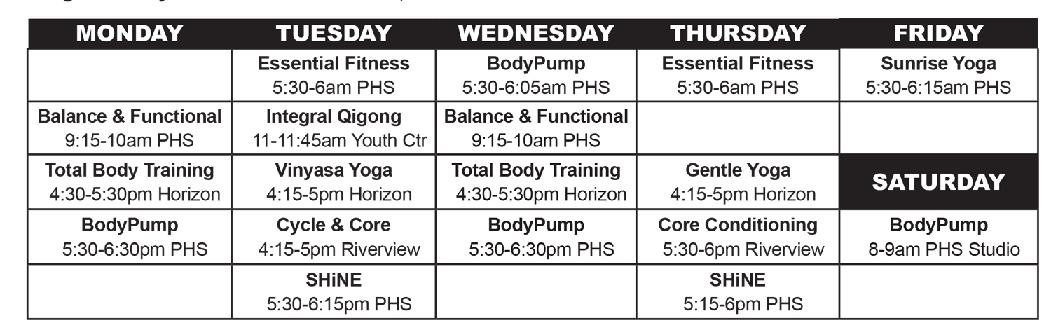 Chart showing fitness classes by day of week