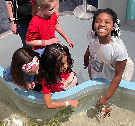Riverview student with Discovery World touch tank
