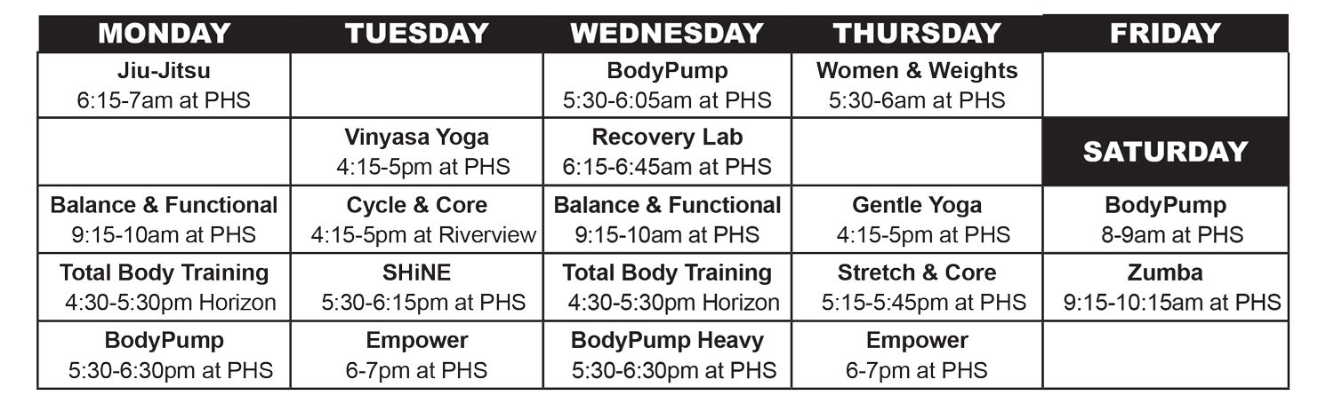Chart showing fitness classes by day of week