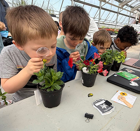 kindergartners looking at plants with magnifying glasses