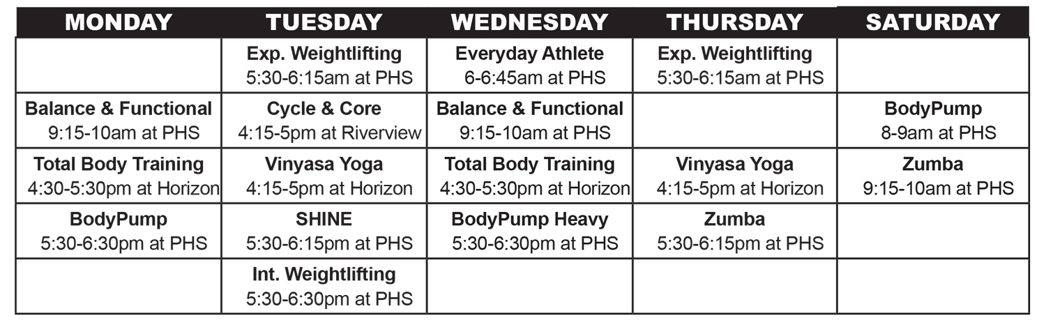 Chart showing fitness classes by day of week