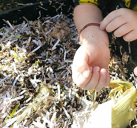 worm on child's wrist