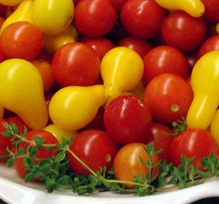 tomatoes