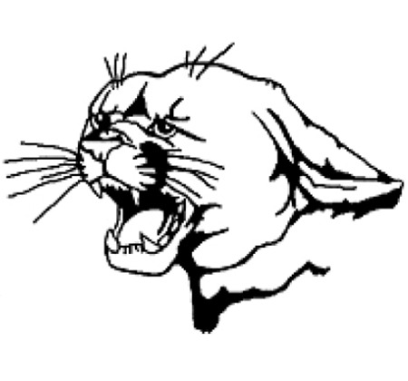 PHS Panther logo