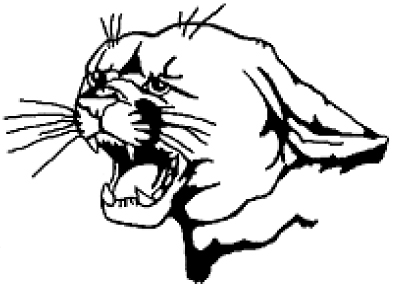 PHS panther head logo