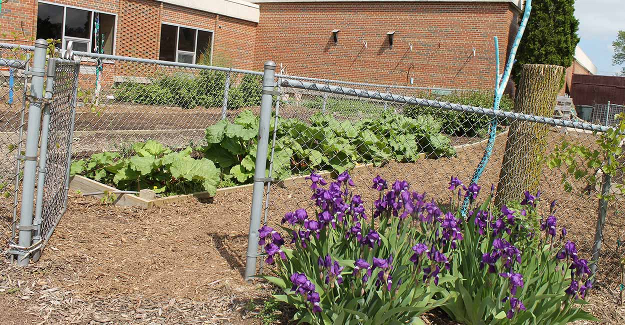 PHS garden