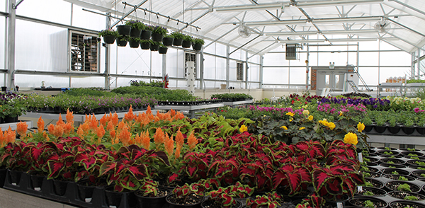 Food Science and Agriculture Center interior